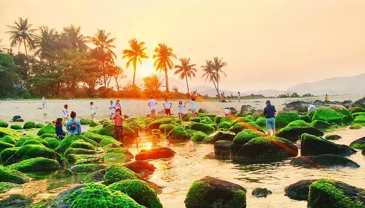 dia-diem-ngam-binh-minh-da-nang-4