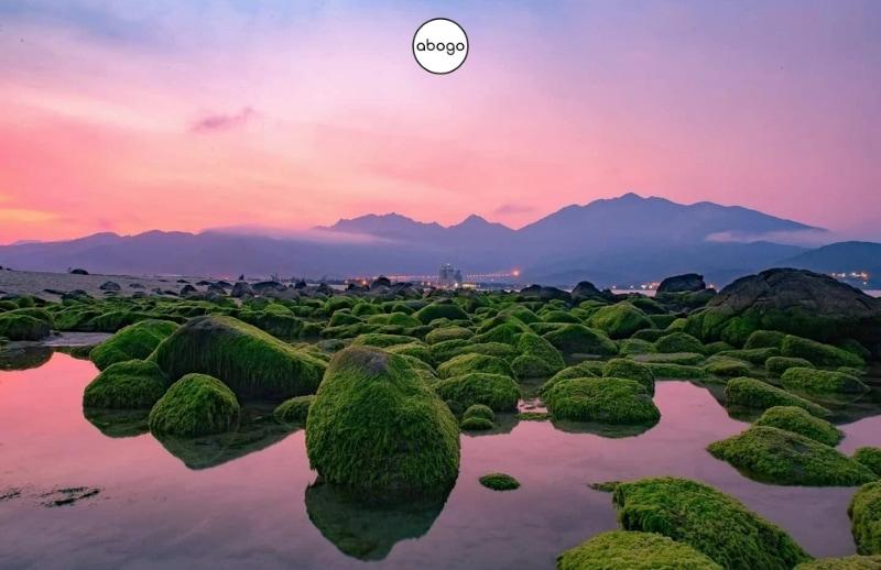 Rạn Nam Ô – Trốn phố về với biển rêu xanh hoang sơ giữa lòng Đà Nẵng
