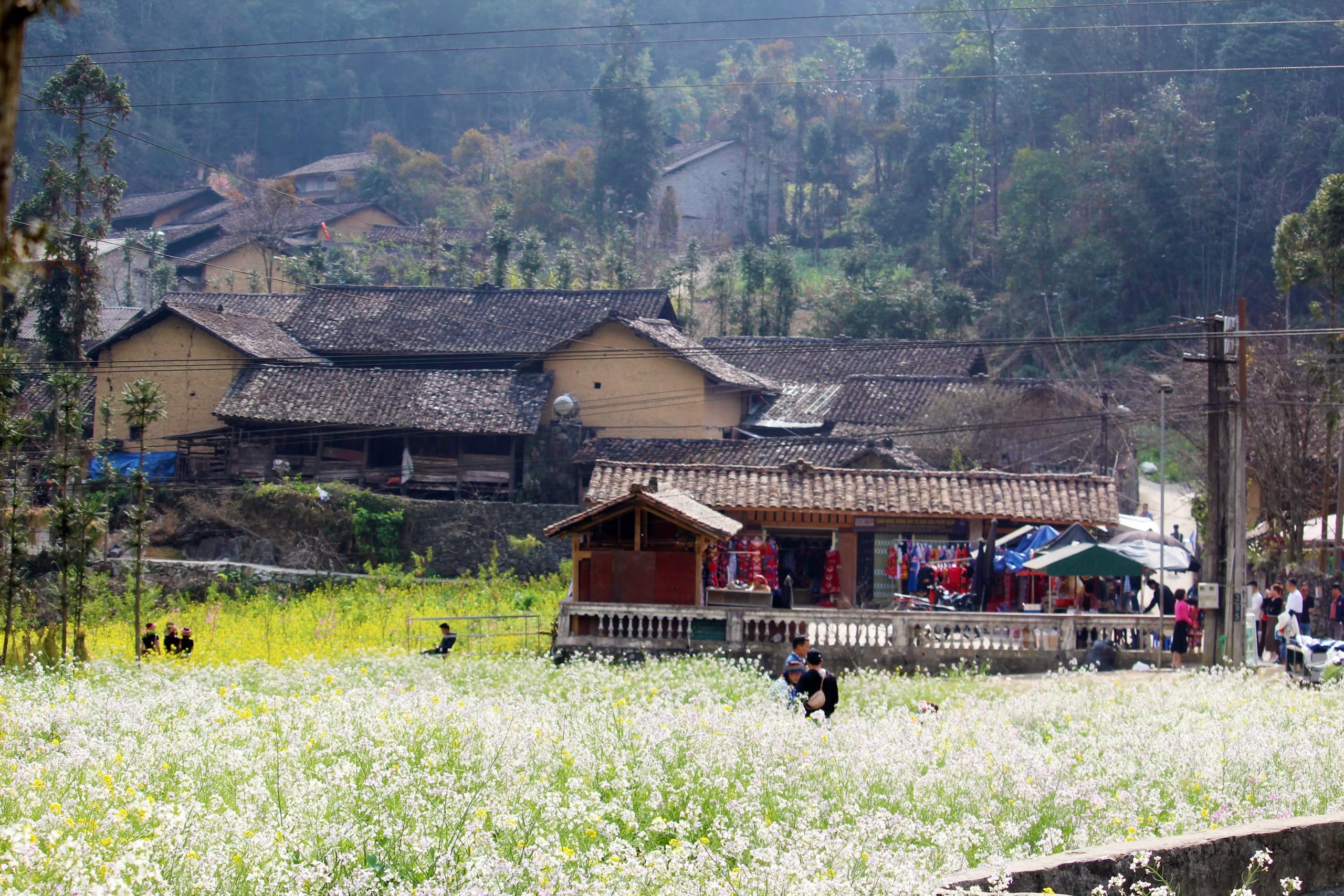 HÀ GIANG - CỘT CỜ LŨNG CÚ - SÔNG NHO QUẾ 3N2Đ (2 ĐÊM 3 SAO)
