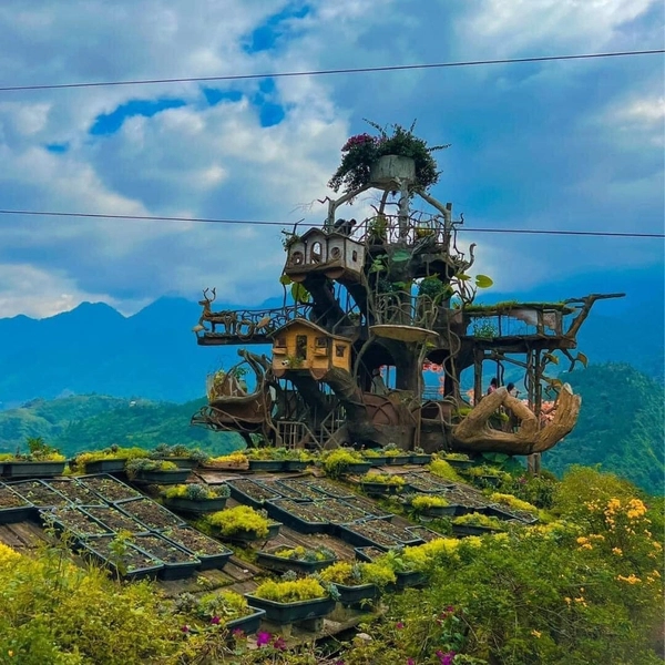 Hà Nội - Sapa - Moana - Cát Cát - Fansipan 3N2D (KS 2.5 sao Long Anh)