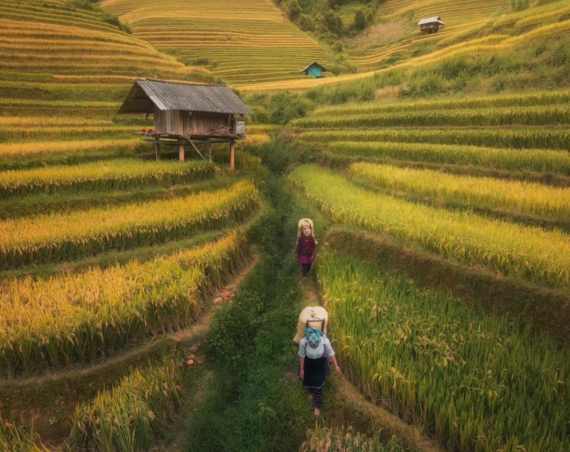MU CANG CHAI – TRAM TAU 3 DAYS 2 NIGHTS – HOMESTAY (NEW ITINERARY)