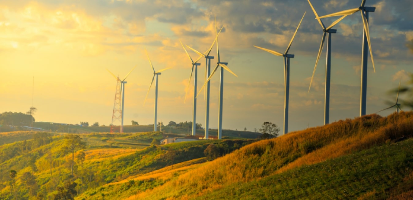 canh-dong-quat-gio-Quy-Nhon-8