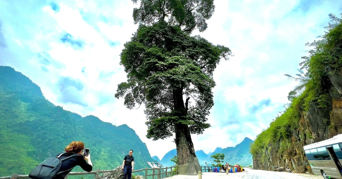 NORTHEAST & NORTHWEST VIETNAM TOUR NO. 4 (HA GIANG - SAPA - FANSIPAN) 4D4N – OVERNIGHT DEPARTURE, DAYTIME RETURN