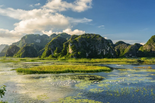 TỔNG HỢP TOUR GHÉP NINH BÌNH CHẠY HÀNG NGÀY 2026 -HÀ NỘI VIP TOURS