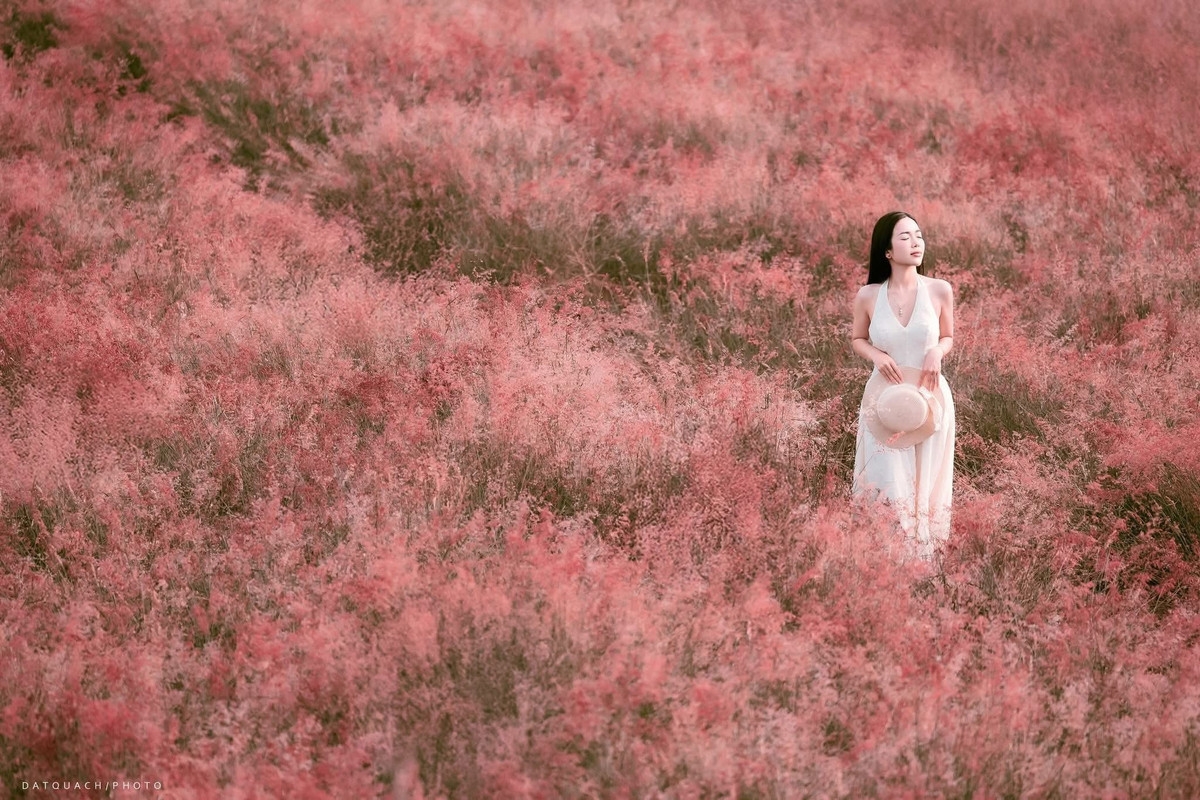 MAI CHAU - MOC CHAU - BACH LONG GLASS BRIDGE 2 DAYS 1 NIGHT (GLENDA TOWER 4-STAR HOTEL)