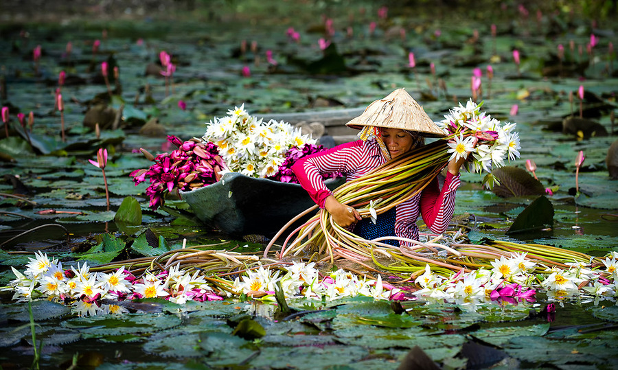 Experience Vietnam package tour 7 days with HaNoi Vip Tours