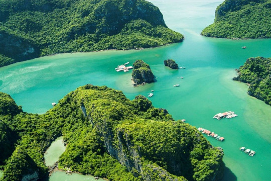 Tour Hạ Long 2 Ngày 1 Đêm Từ Hải Phòng Giá Siêu Ưu Đãi 2026