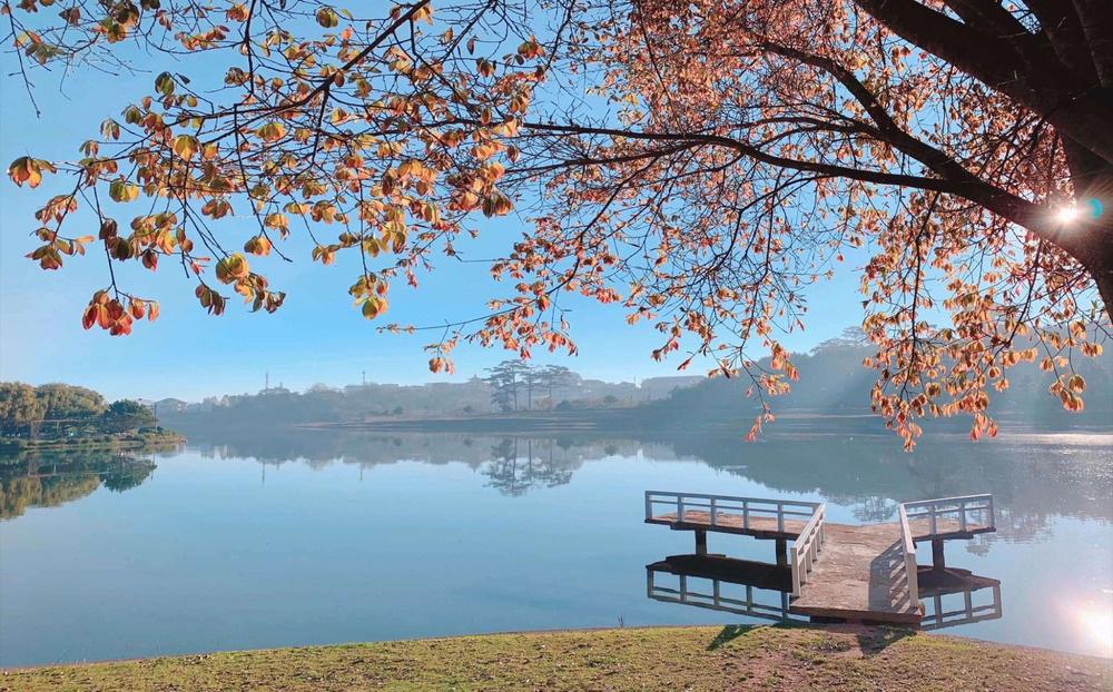DALAT: THE ULTIMATE 8-CHECKLIST TRAVEL GUIDE 🌲