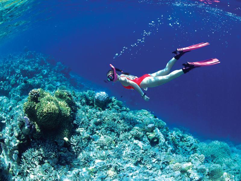 NHA TRANG DAY TOUR: DISCOVER THE UNDERWATER WORLD WITH SCUBA DIVING