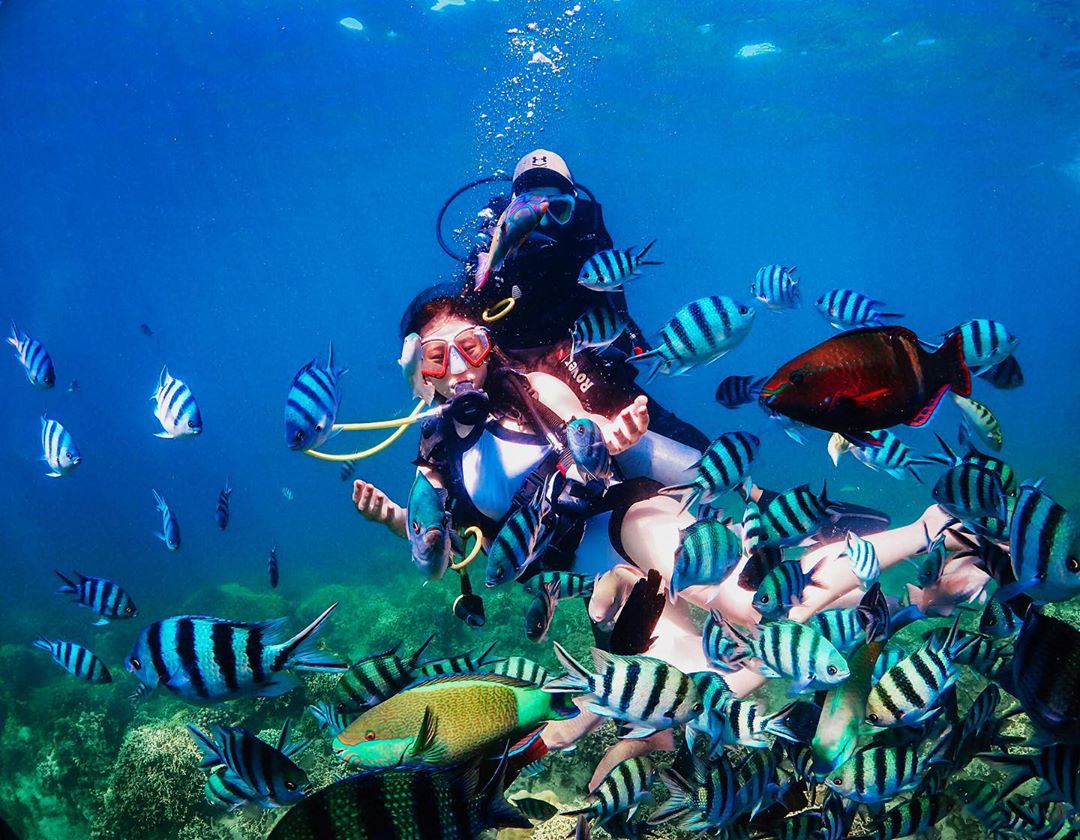 NHA TRANG FULL-DAY TOUR: VIP HON MUN – FISHING VILLAGE – HON TAM ISLAND