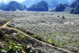 MOC CHAU - TA XUA