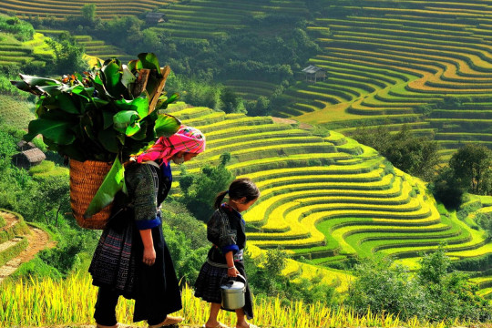 Trọn Bộ Checklist Du Lịch Sapa: 7 Bí Kíp Cần Thiết Cho Chuyến Đi Hoàn Hảo