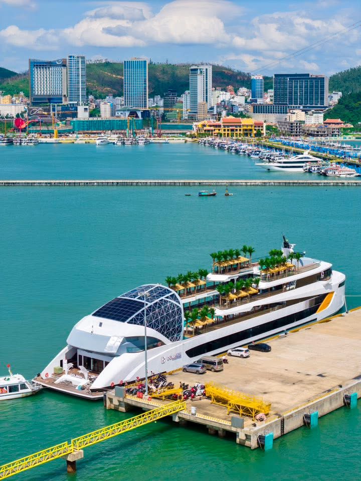 Du thuyền Dolphin Cruise