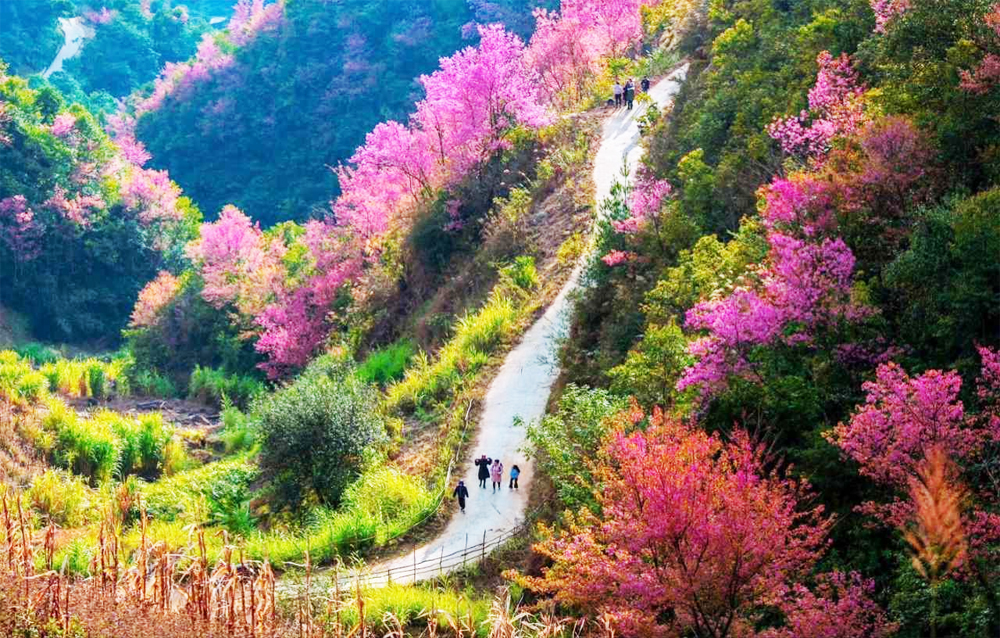 MU CANG CHAI 2 DAYS 1 NIGHT – HOTEL (NEW ITINERARY)