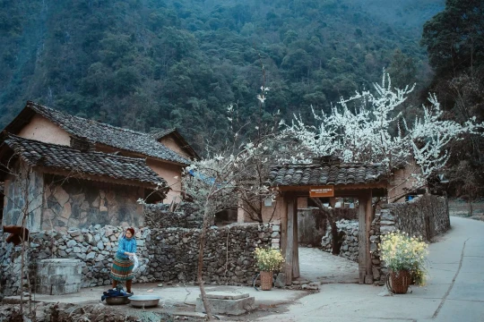 🏔️ 10 SAI LẦM KHI ĐI HÀ GIANG – ĐỪNG ĐỂ CHUYẾN ĐI TRONG MƠ THÀNH MỘT HÀNH TRÌNH ĐẦY MỆT MỎI!