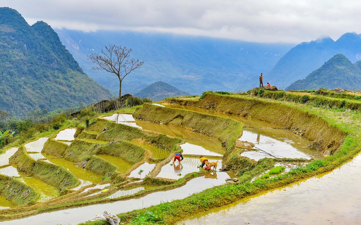 MAI CHAU – PU LUONG 2D1N (PRIVATE HOMESTAY ROOM)