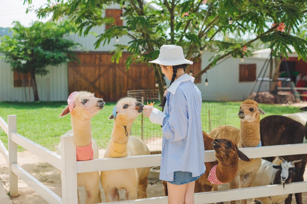 puppy-farm-3