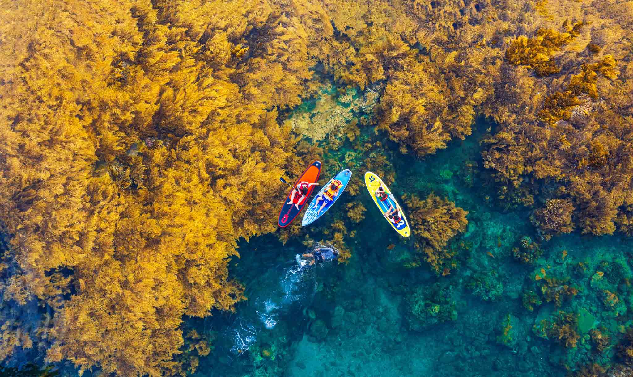 QUY NHON: THE ULTIMATE 8-CHECKLIST TRAVEL GUIDE 🌴