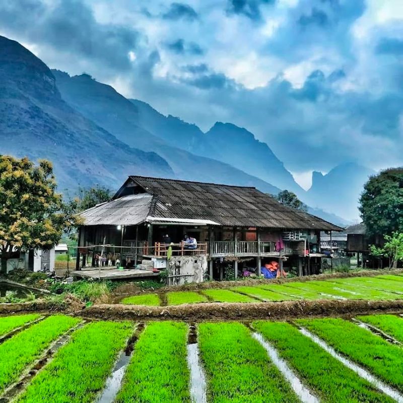 HA GIANG – NHO QUE RIVER – DU GIA 3D4N – MOTORBIKE TOUR 2 (1 DRIVER-GUIDE + 1 GUEST)