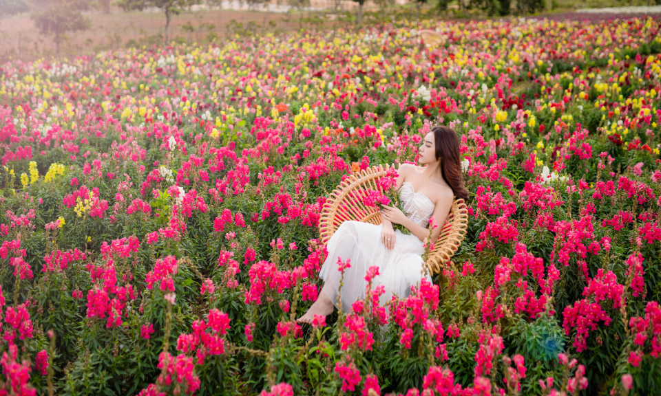 1-DAY DA LAT “INSTAGRAM-WORTHY” TOUR