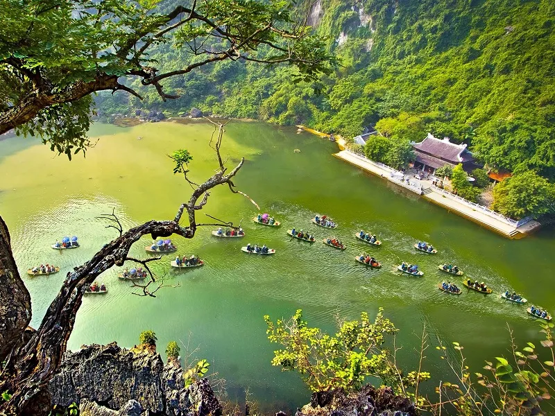 HOA LU - TAM COC - BAI DINH - TRANG AN