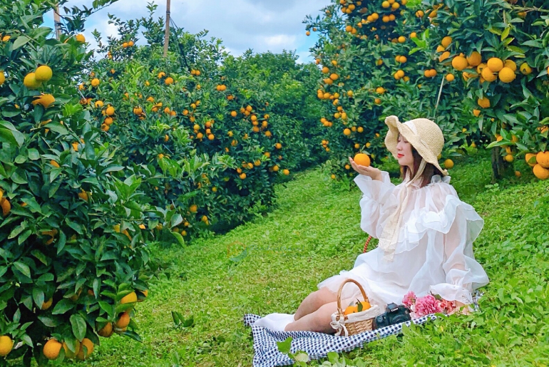 MỘC CHÂU - CẦU KÍNH BẠCH LONG 2N1Đ (GLENDA TOWER 4*)