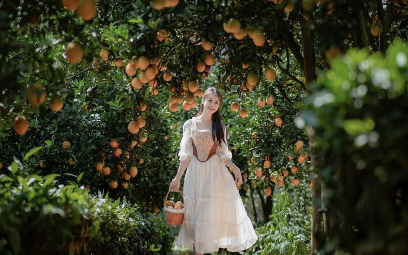 MỘC CHÂU - CẦU KÍNH BẠCH LONG 2N1Đ (MƯỜNG THANH 4*)