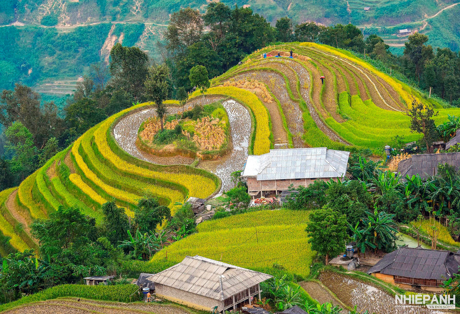 Hà Nội - Hoàng Su Phì - Bản Phùng 2N1D (1 đêm kstc)