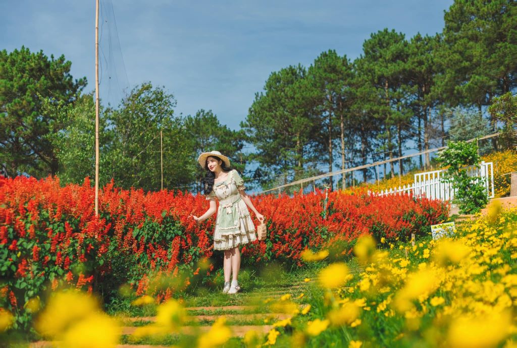 1-DAY DA LAT TOUR – THE HOTTEST DA LAT ADVENTURE TOUR