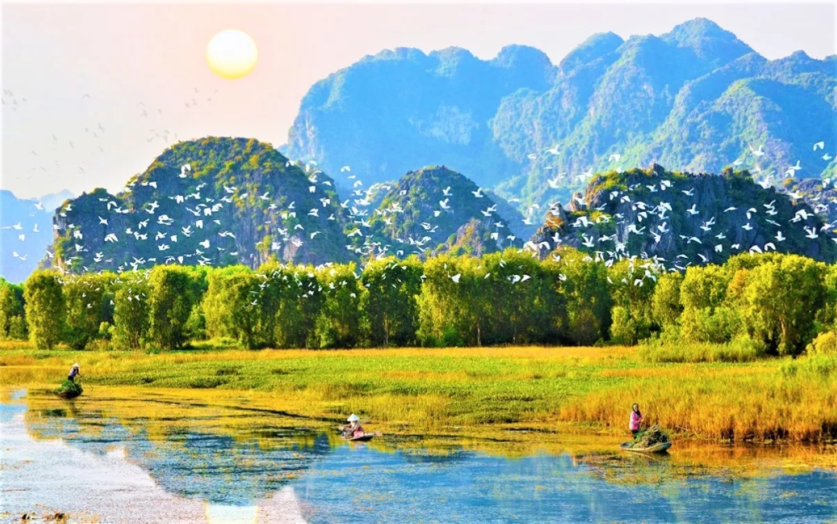 HP THUNG NHAM RESORT (GHÉP LẺ)