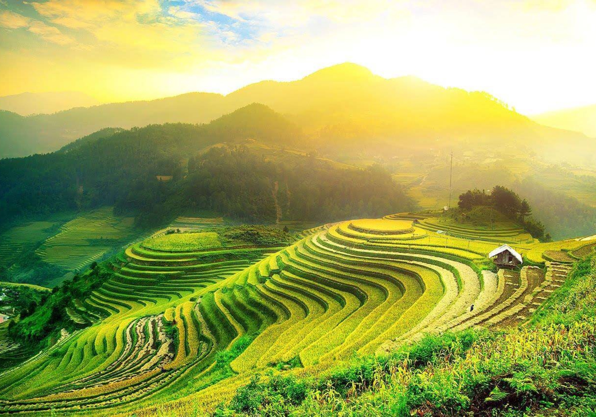 Du lịch Sa Pa Mùa Lúa Chín: Cẩm Nang Khám Phá "Biển Vàng" Tuyệt Đẹp Dịp Quốc Khánh 2.9