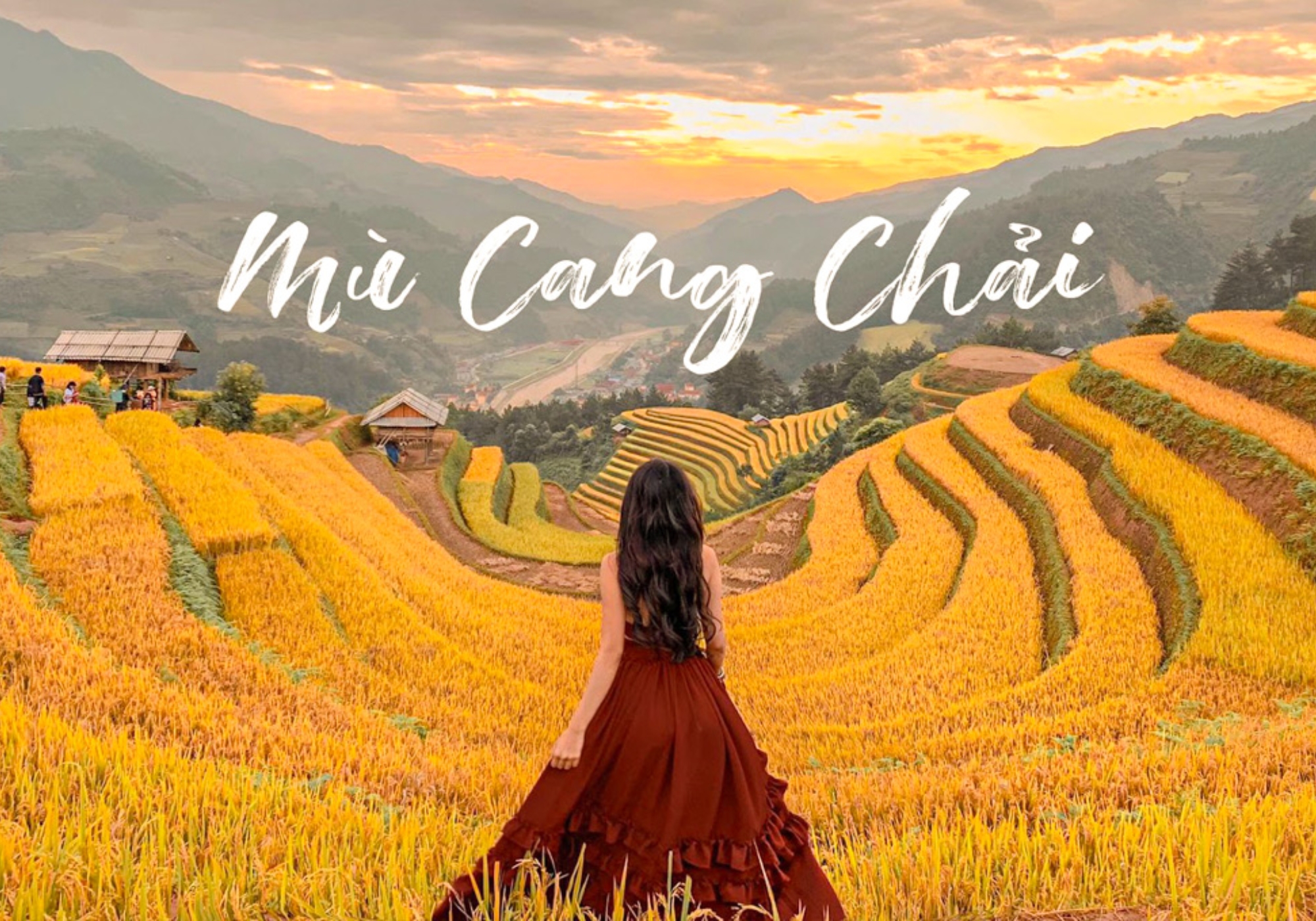 Mù Cang Chải Tháng 9: Lúa Chín Sớm, Kinh Nghiệm Du Lịch & Địa Điểm Check-in Đẹp Nhất
