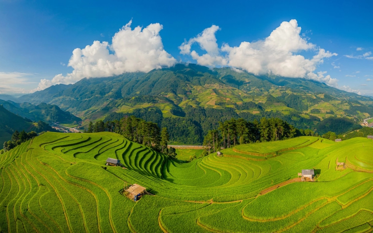 mu-cang-chai-1