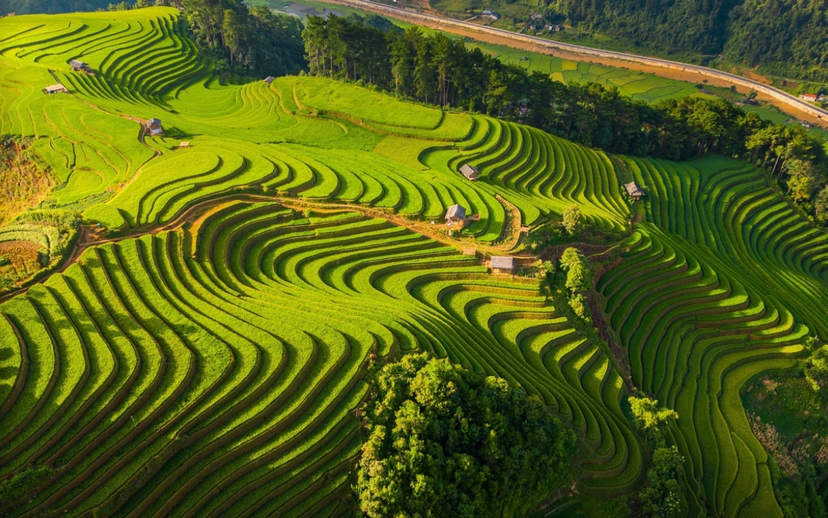 mu-cang-chai-2