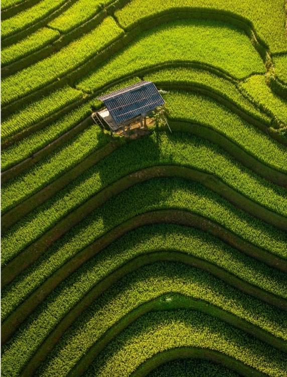 mu-cang-chai-3