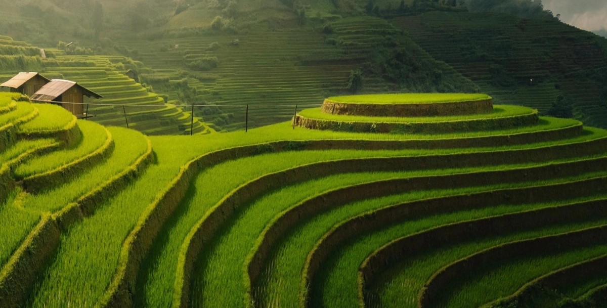 mu-cang-chai-5
