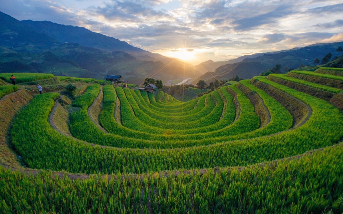 mu-cang-chai-7