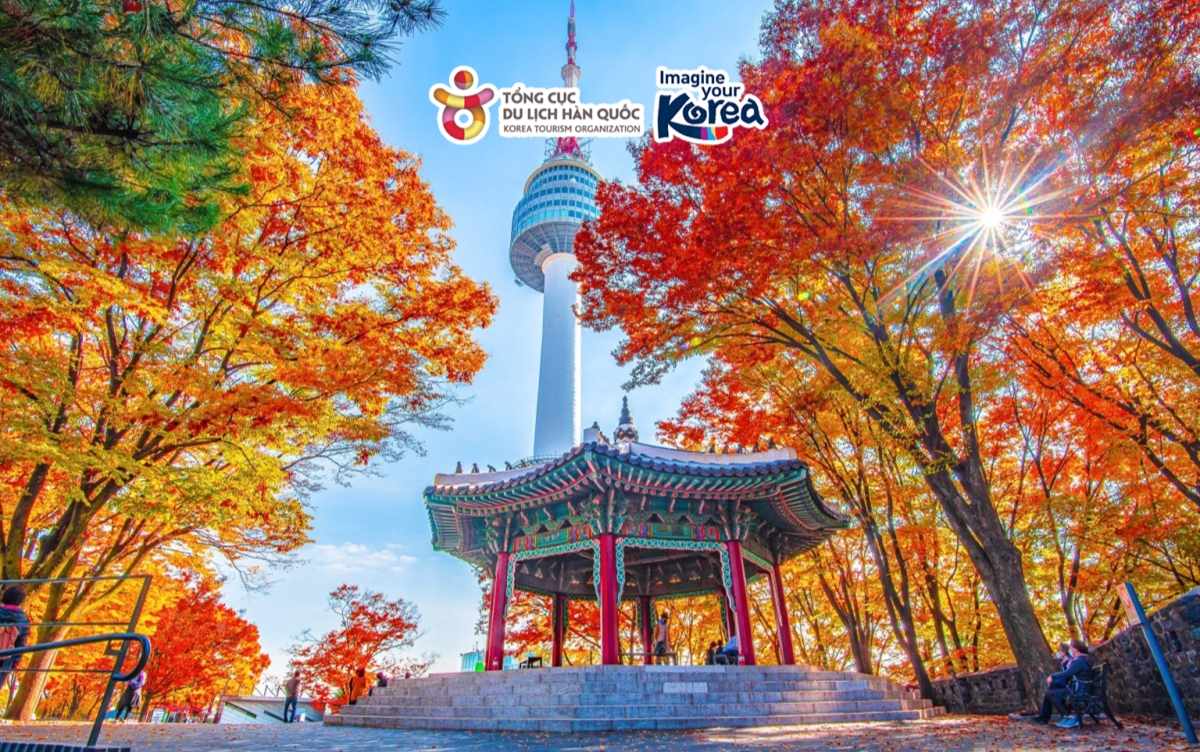 xin-visa-han-quoc-bang-the-shinhan-3