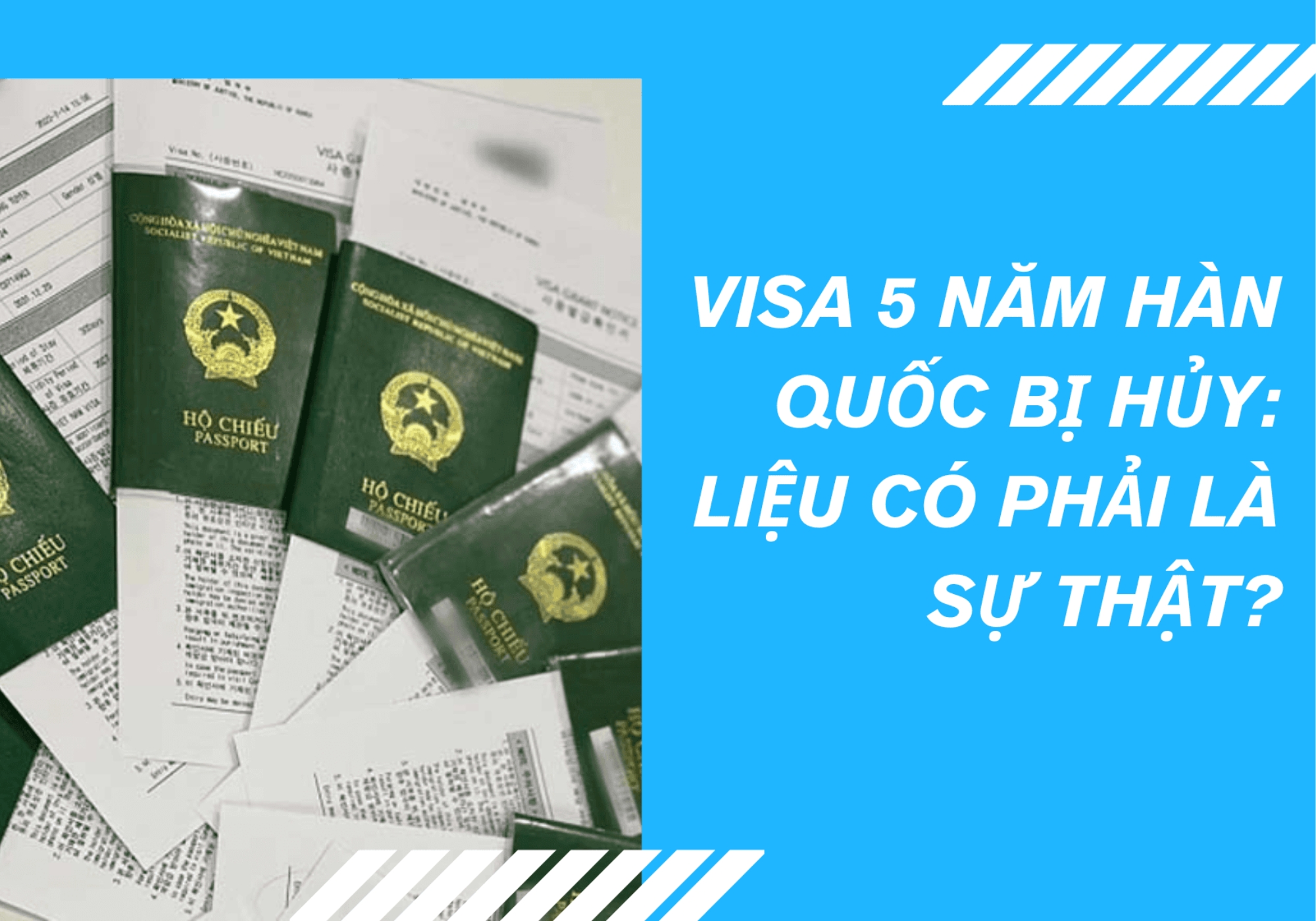 Visa 5 Năm Hàn Quốc Bị Hủy: Sự Thật & Cách Xử Lý Hiệu Quả
