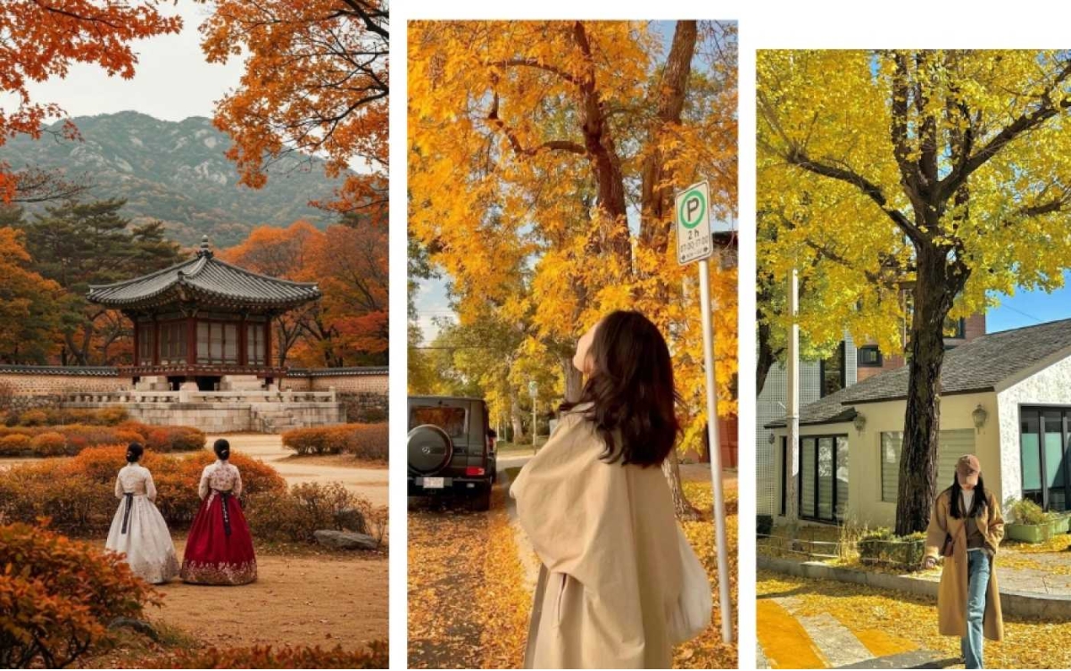 visa-dai-do-thi-han-quoc-4