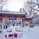 SEOUL - NAMI - EVERLAND 5N4Đ | BAY AERO - K AIRLINES