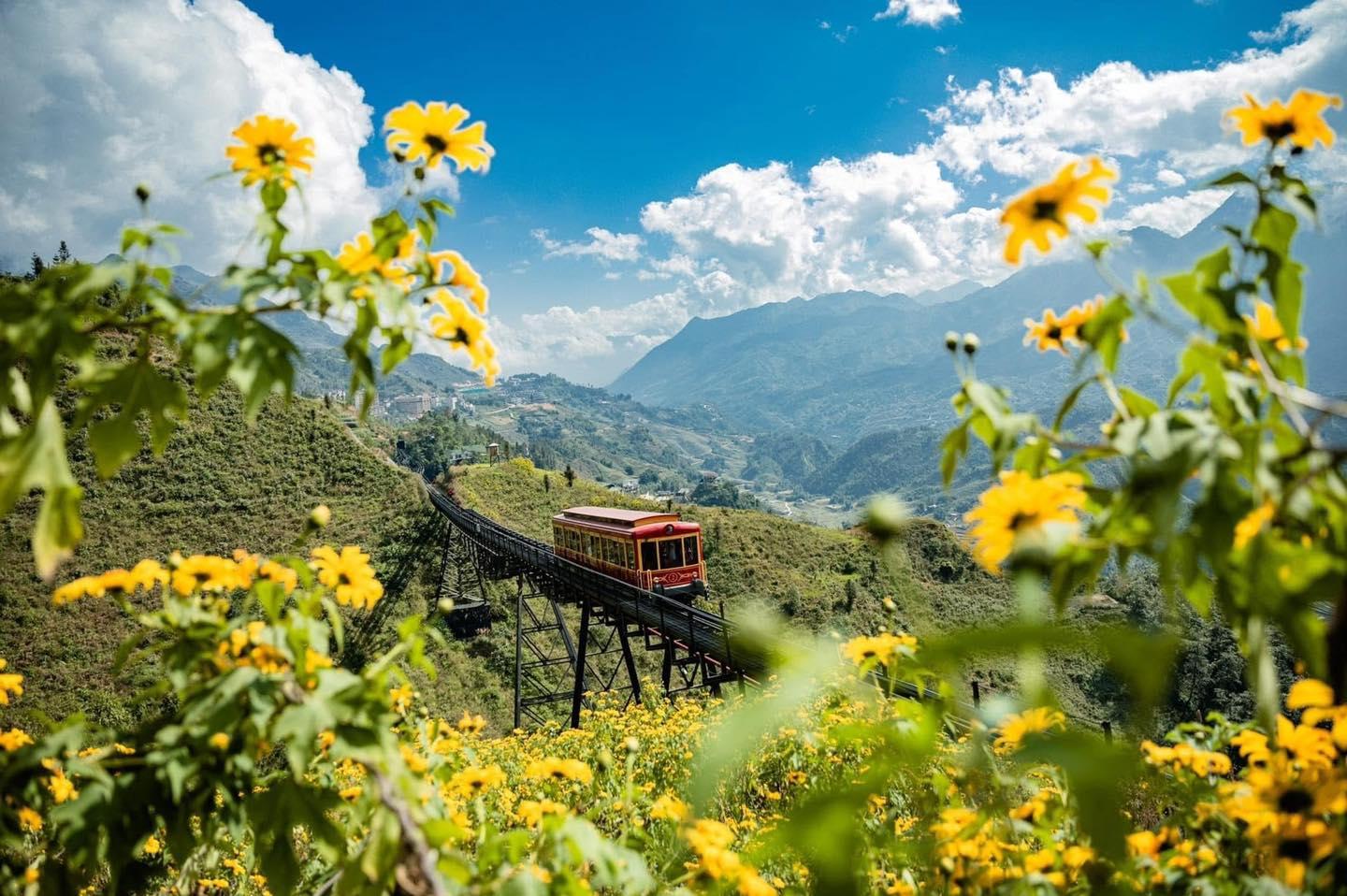 VÉ CÁP TREO SAPA FANSIPAN + MƯỜNG HOA