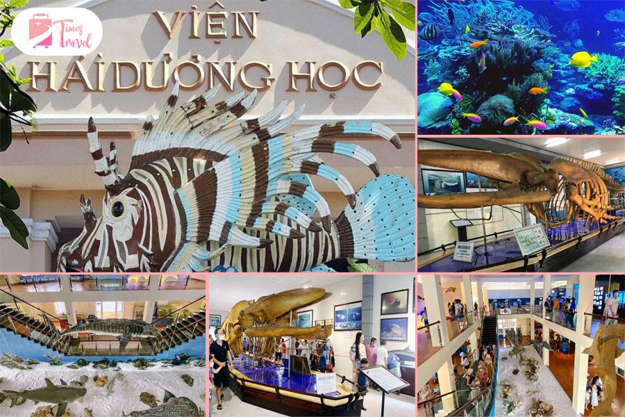vien-hai-duong-hoc-voi-hang-ngan-mau-sinh-vat-bien
