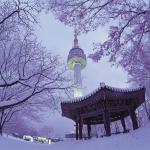 SEOUL - NAMI - EVERLAND 5N4Đ | BAY AERO - K AIRLINES