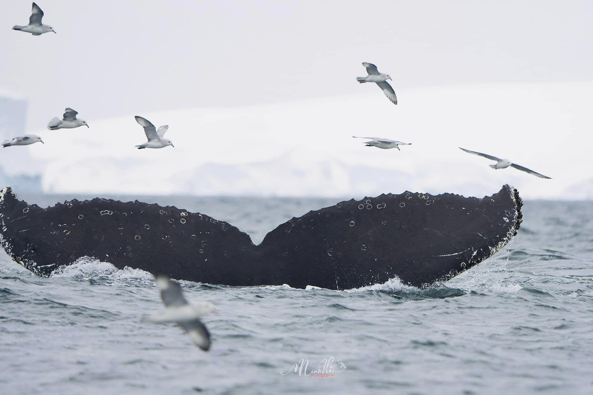 410845274_24440739598874679_9148187323141597707_n