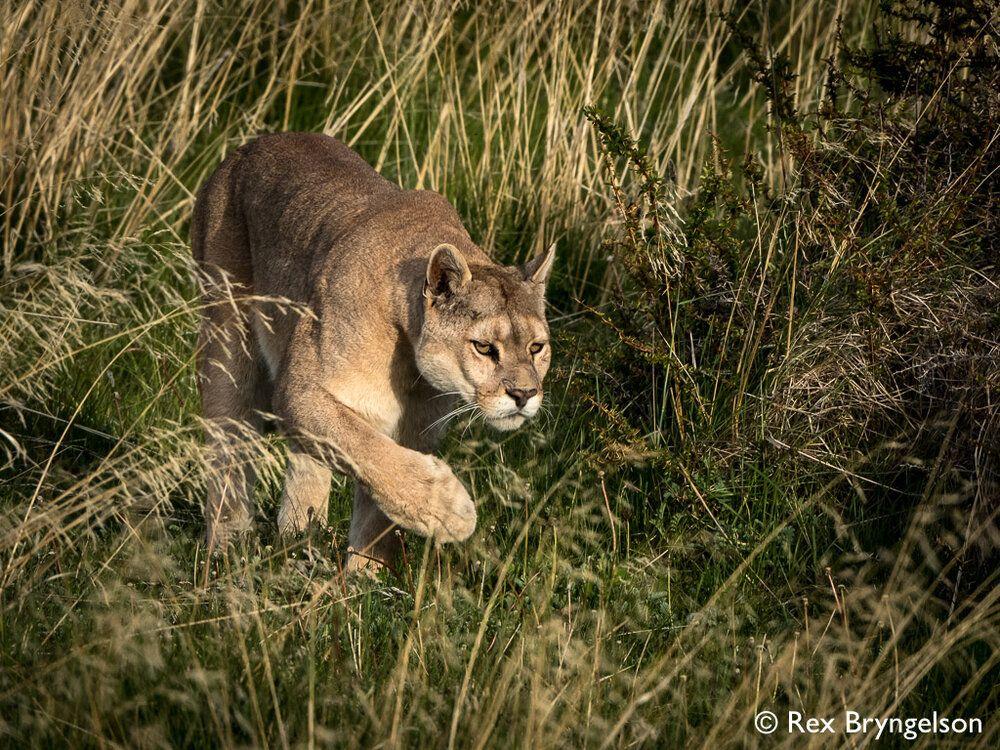 88a99cc9771cd9825305f2bbfb3fcaab