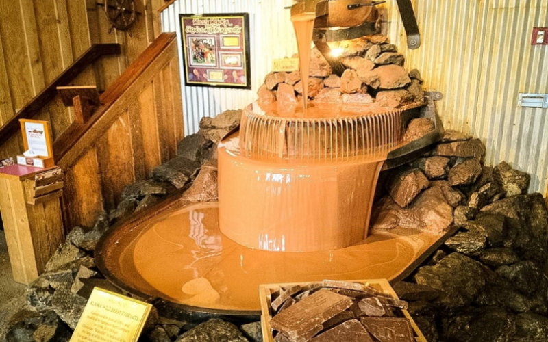 Alaska Wildlife Conservation Center  Travel Alaska (2)