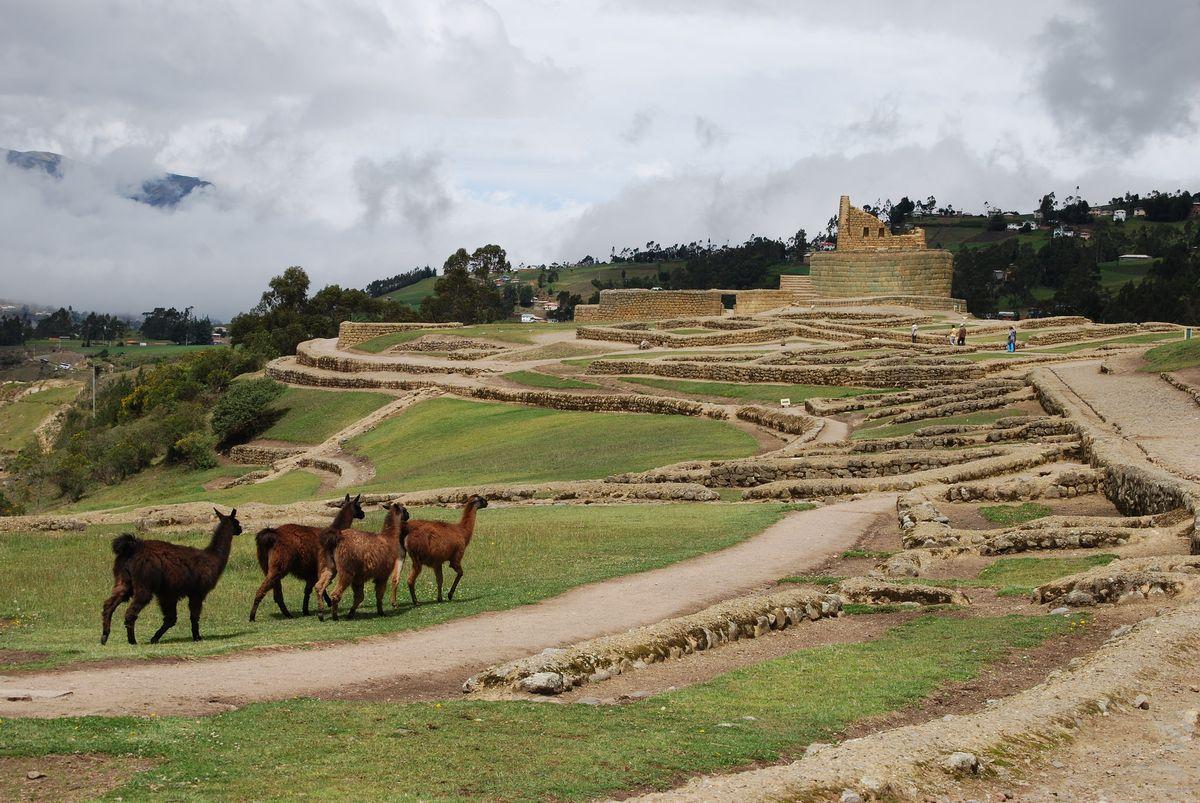 b07f7160fd777dd8f1ae59b13274a850