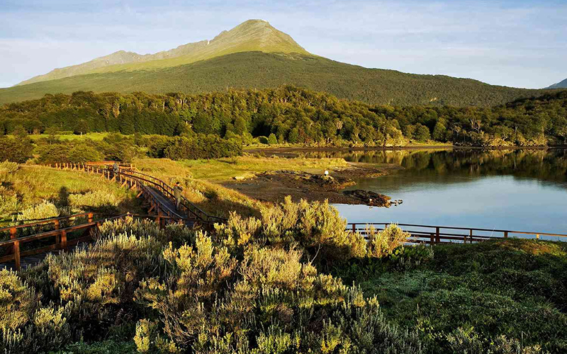 cong-vien-quoc-gia-tierra-del-fuego.png