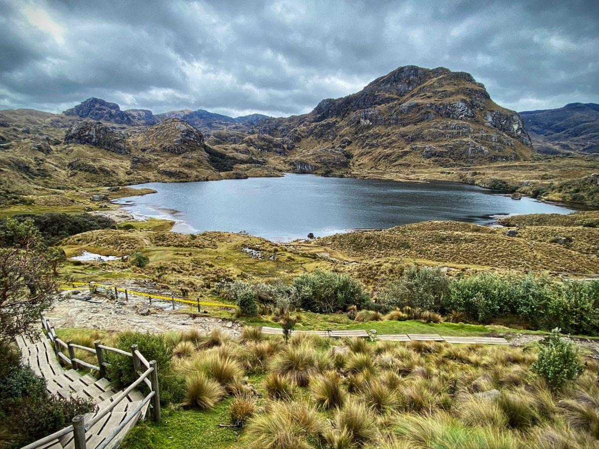 e4548dfdab53bd489a76a65f890d1aa3